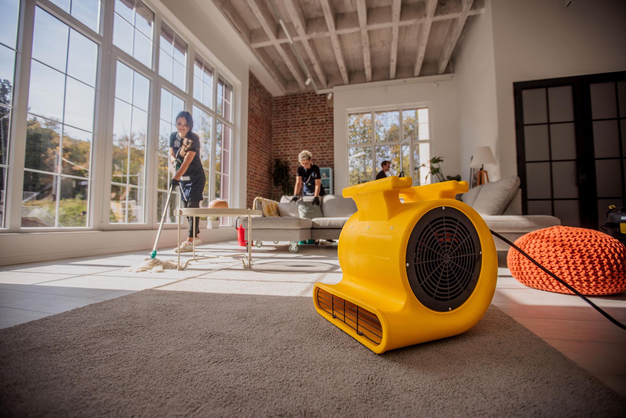 Floor Clean